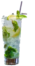 Mojito at Delicias Factory, Branson MO